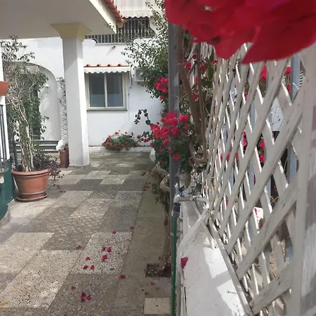Couette-café Raggi D'ischia 3*