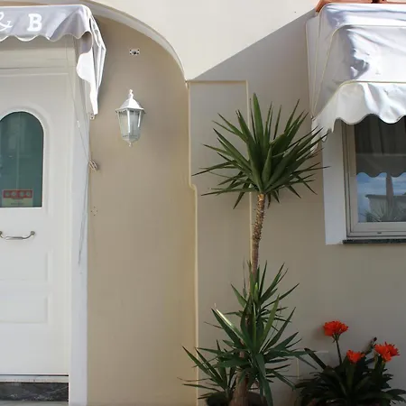Raggi D'ischia - Nuova Gestione 2026 住宿加早餐酒店 3*